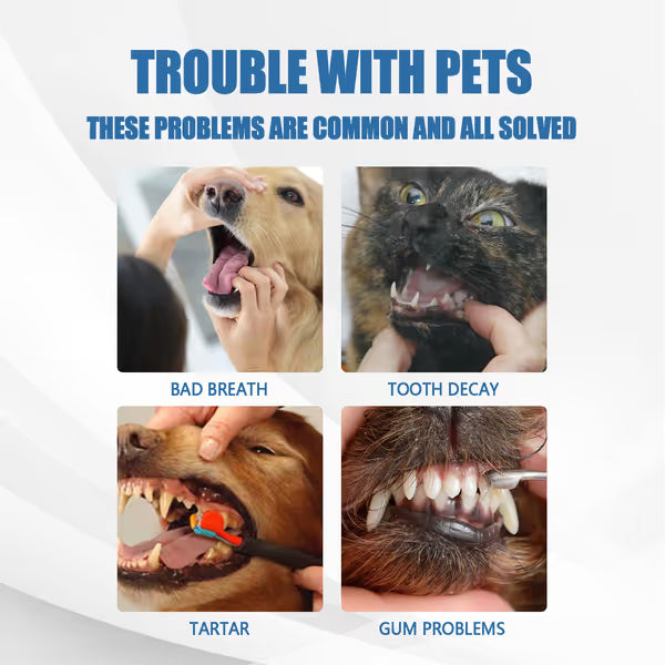 Pet Tartar Remover Foam - Fresh Breath & Healthy Teeth, No Brushing Needed!