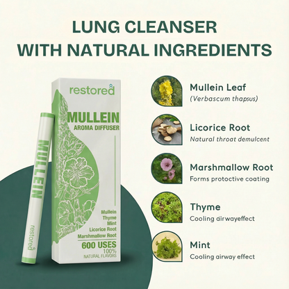JEREMYTIS® Mullein Detox Pen